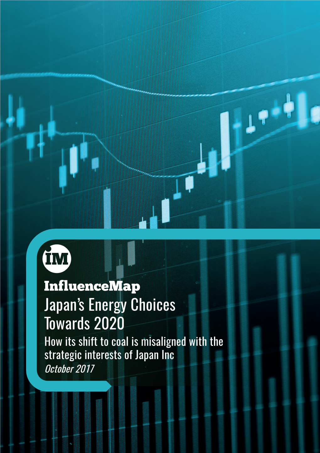 Japan's Energy Choices Towards 2020