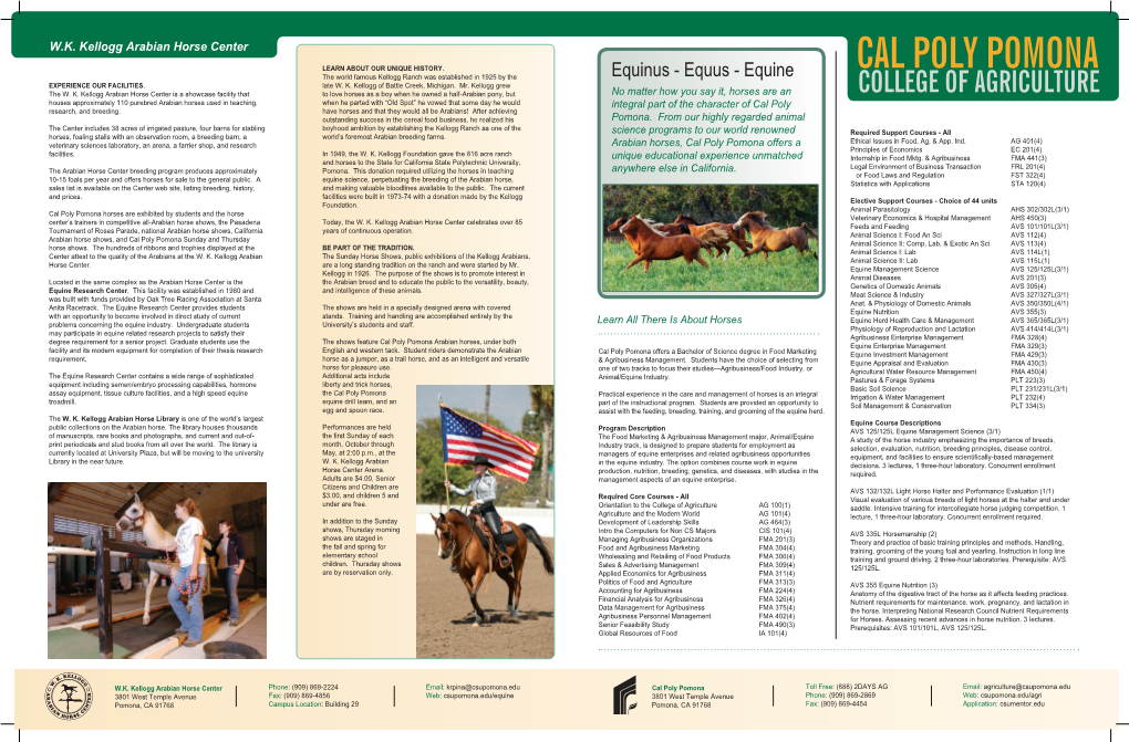 Equine EXPERIENCE OUR FACILITIES