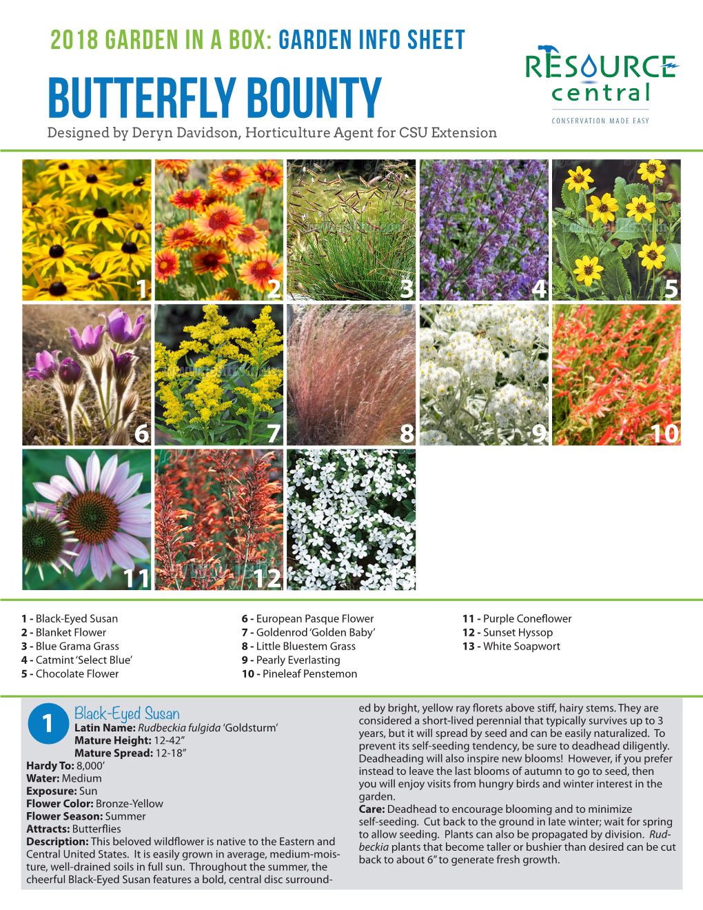 Butterfly Bounty Designed by Deryn Davidson, Horticulture Agent for CSU Extension