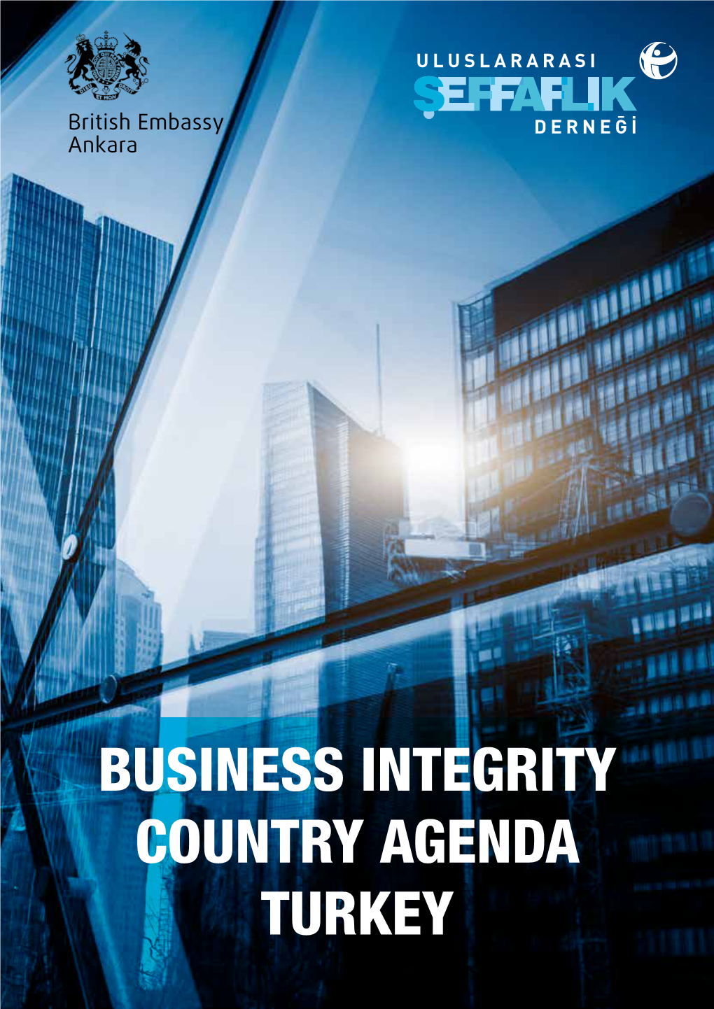 Business Integrity Country Agenda Turkey