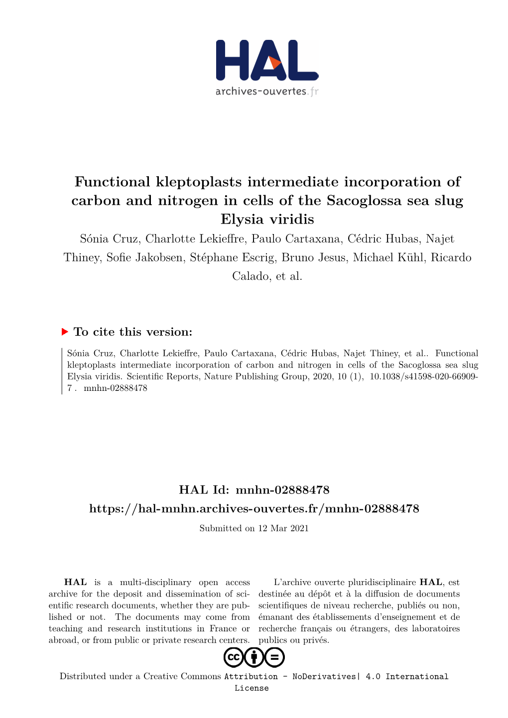 Functional Kleptoplasts Intermediate Incorporation Of