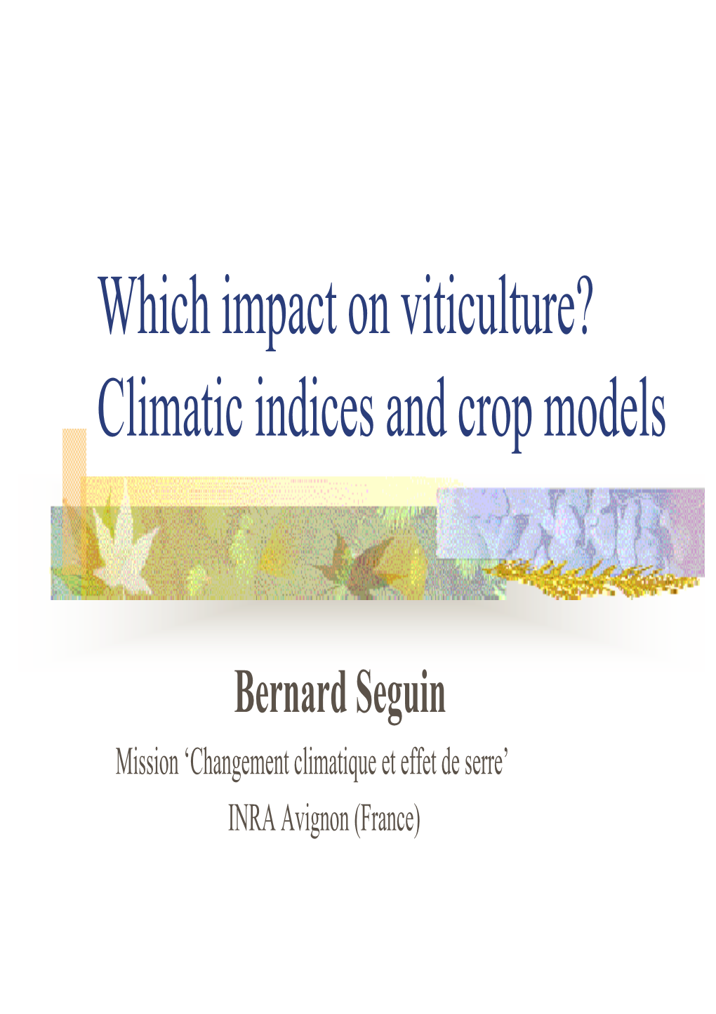 Which Impact on Viticulture? Climatic Indices and Crop Models