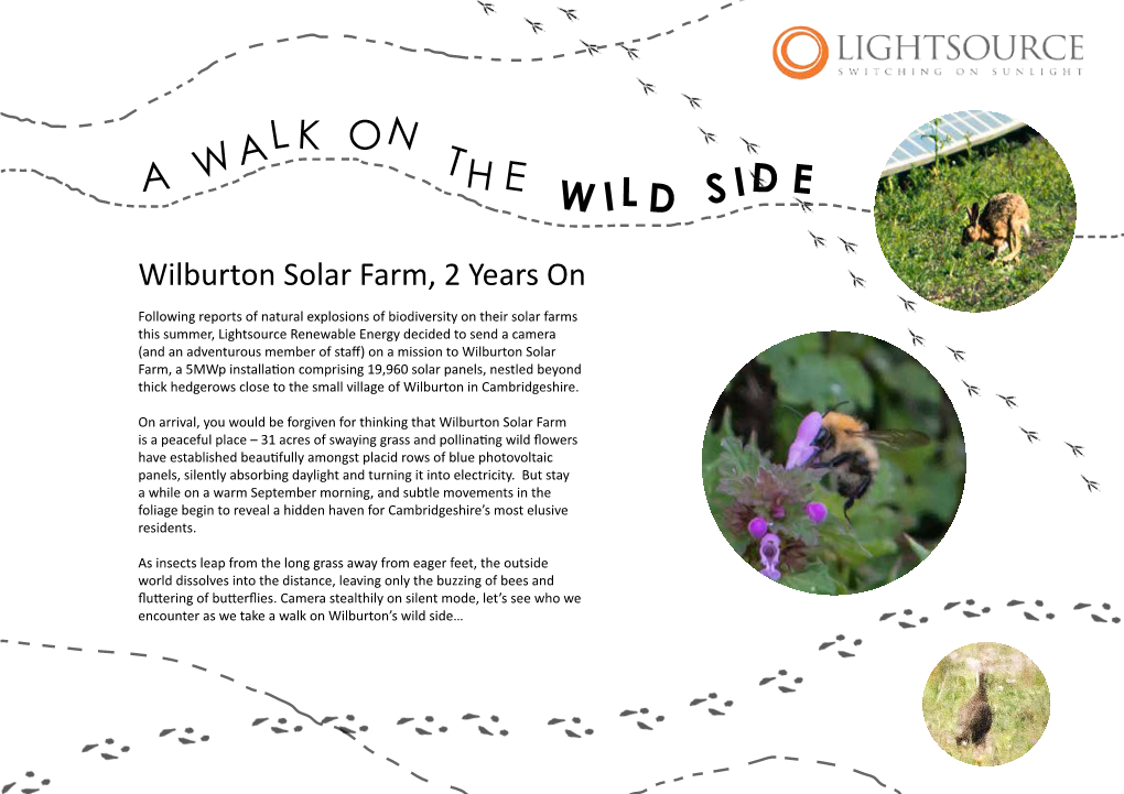 Wilburton Solar Farm, 2 Years On