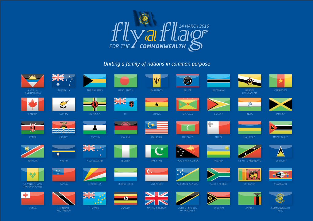 Fly a Flag Guide 2016