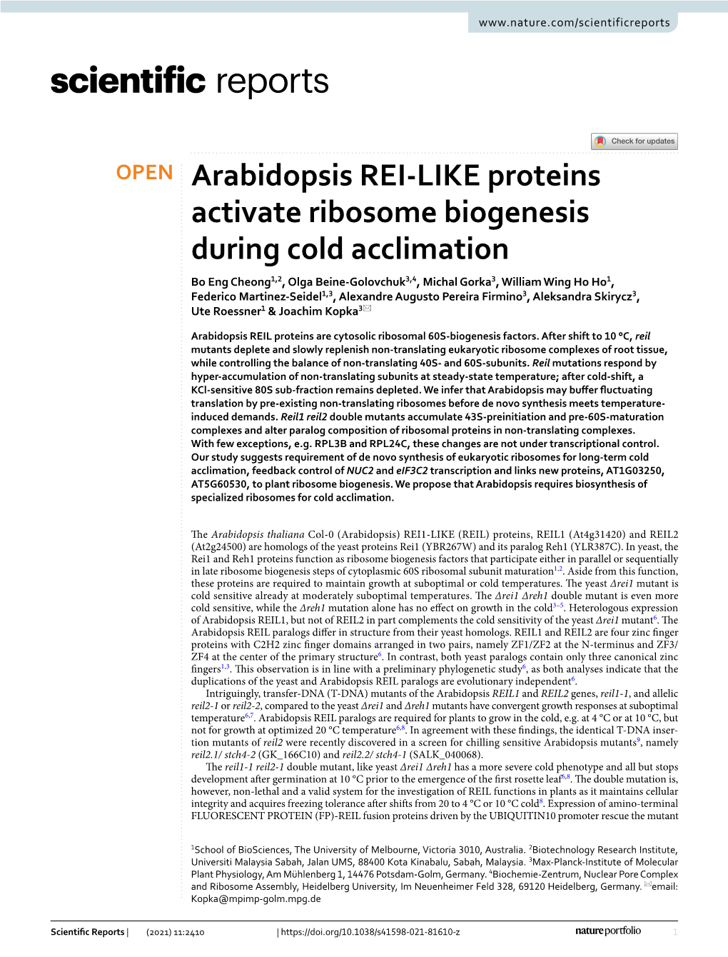 Arabidopsis REI-LIKE Proteins Activate Ribosome Biogenesis