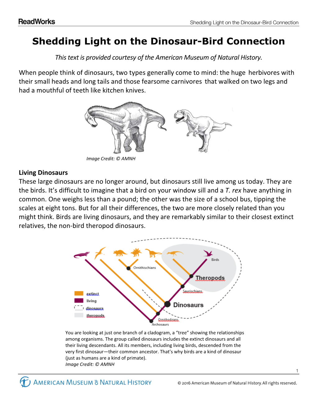 Shedding Light on the Dinosaur-Bird Connection