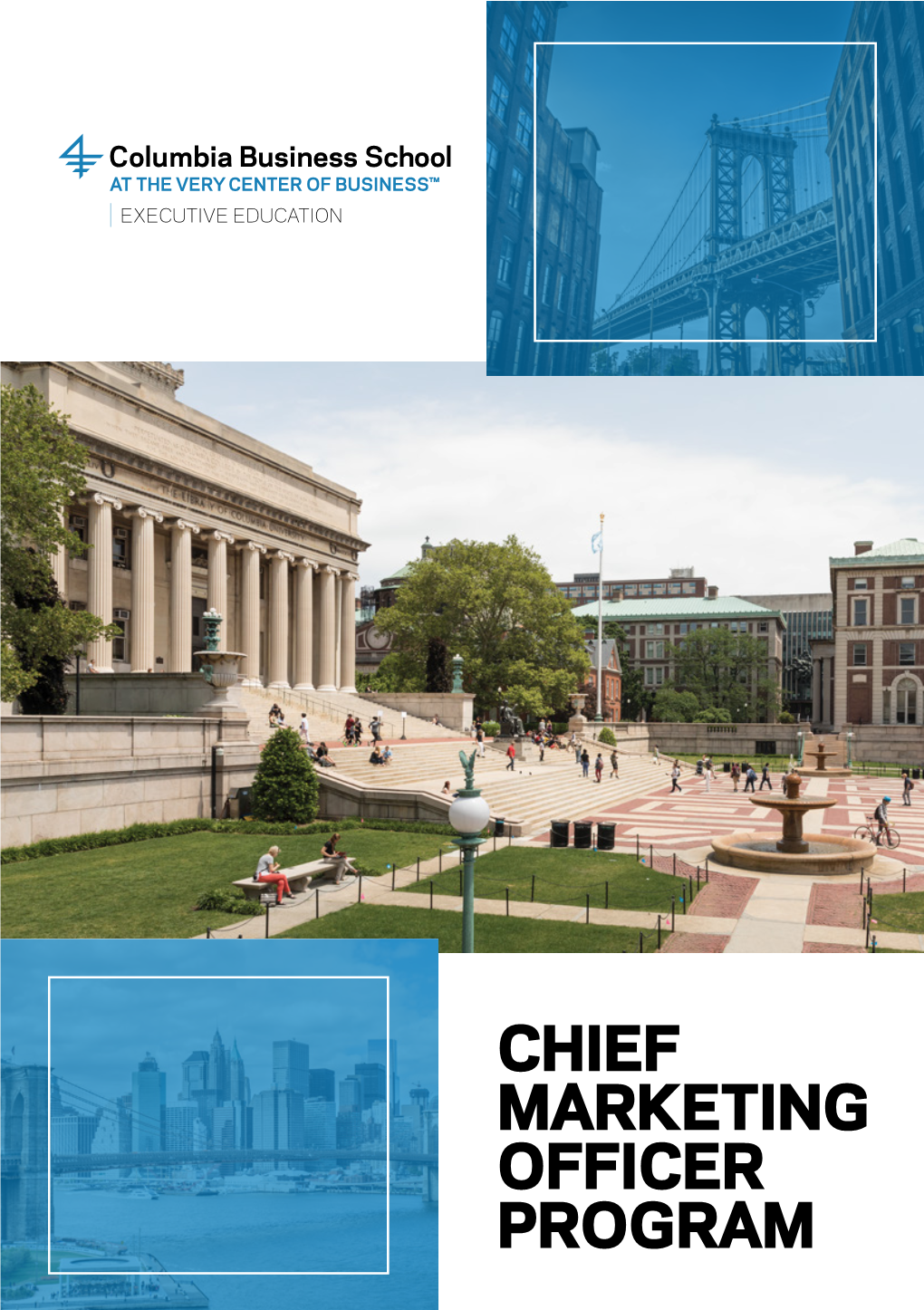 Chief Marketing Officer Program