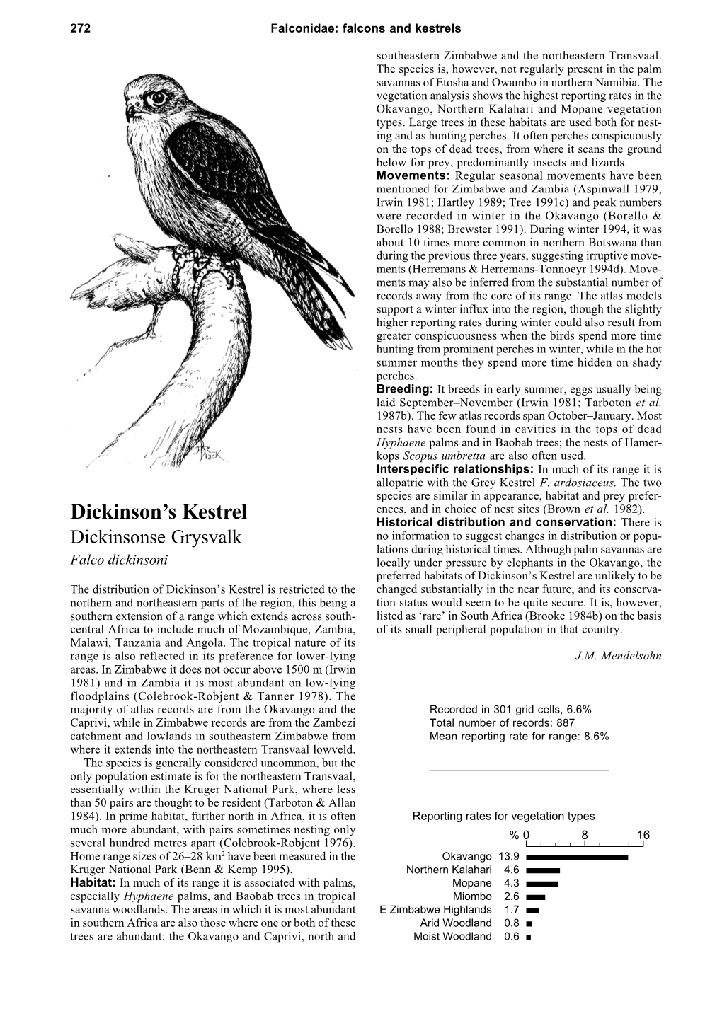 Dickinson's Kestrel