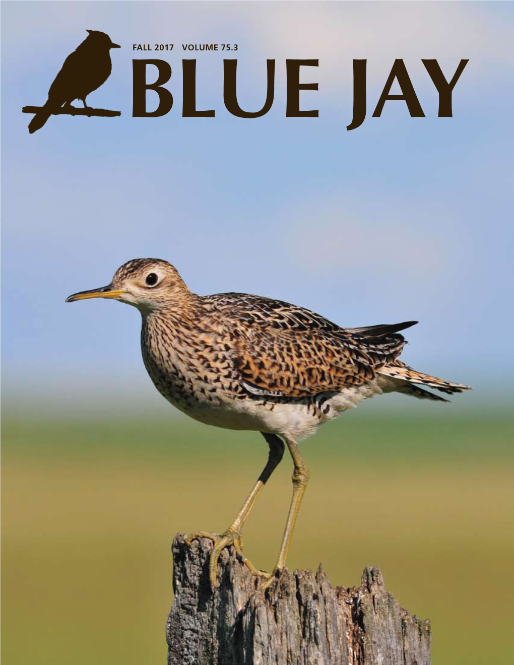 Fall 2017 Volume 75.3 Blue Jay