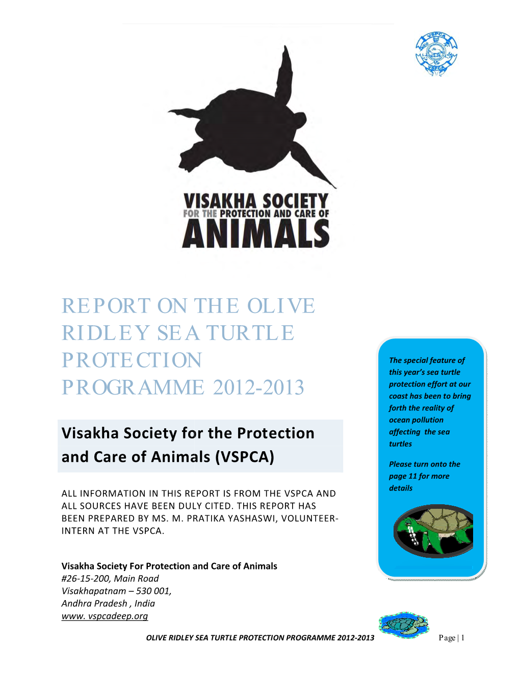 SEA TURTLE PROTECTION FORCE (With Pictures) 5