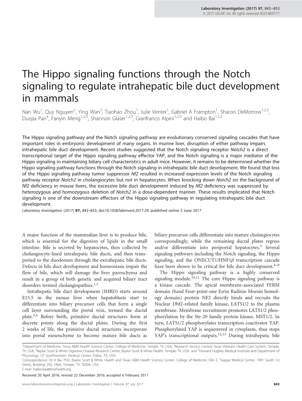 The Hippo Signaling Functions Through the Notch Signaling to Regulate