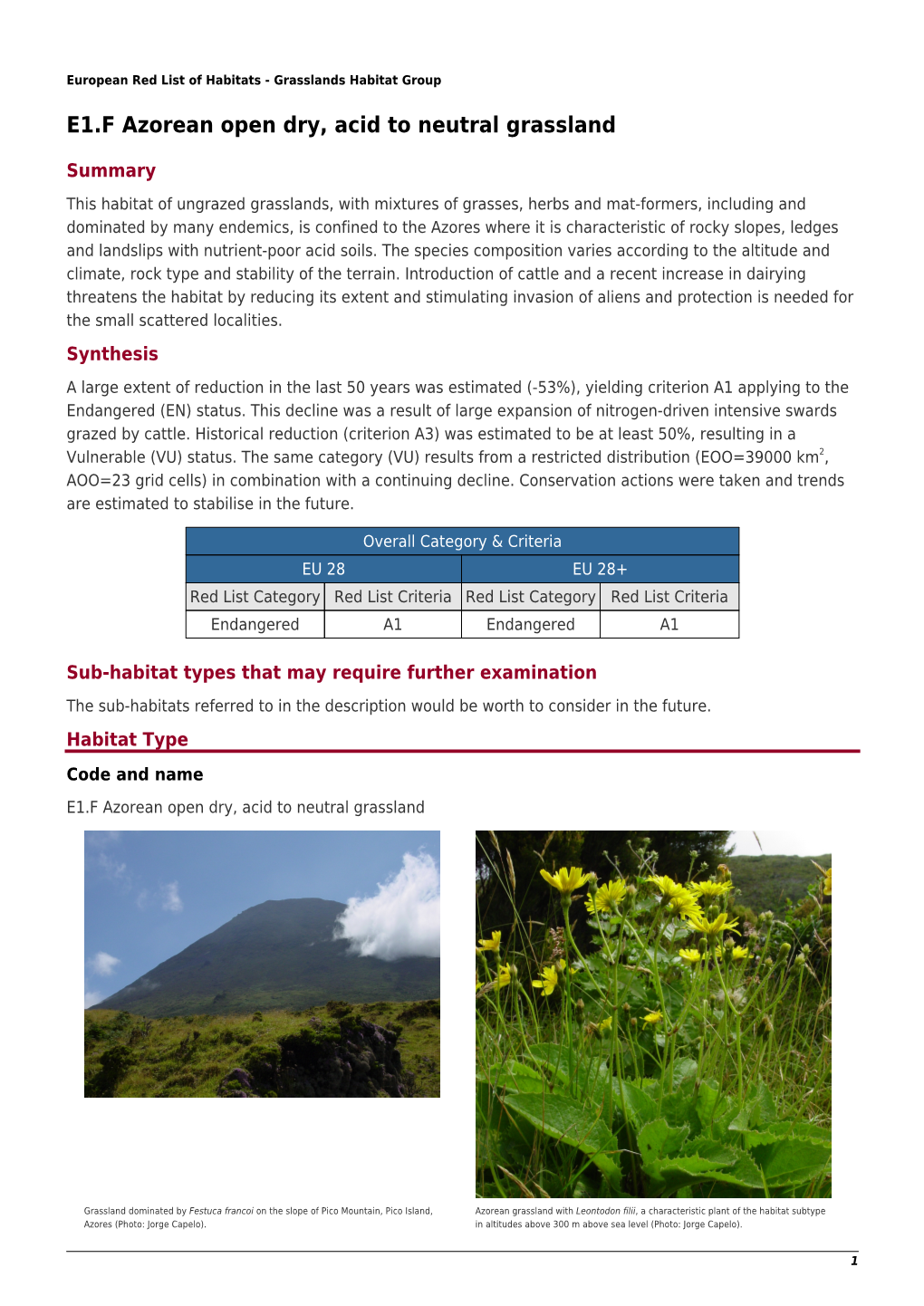 E1.F Azorean Open Dry, Acid to Neutral Grassland