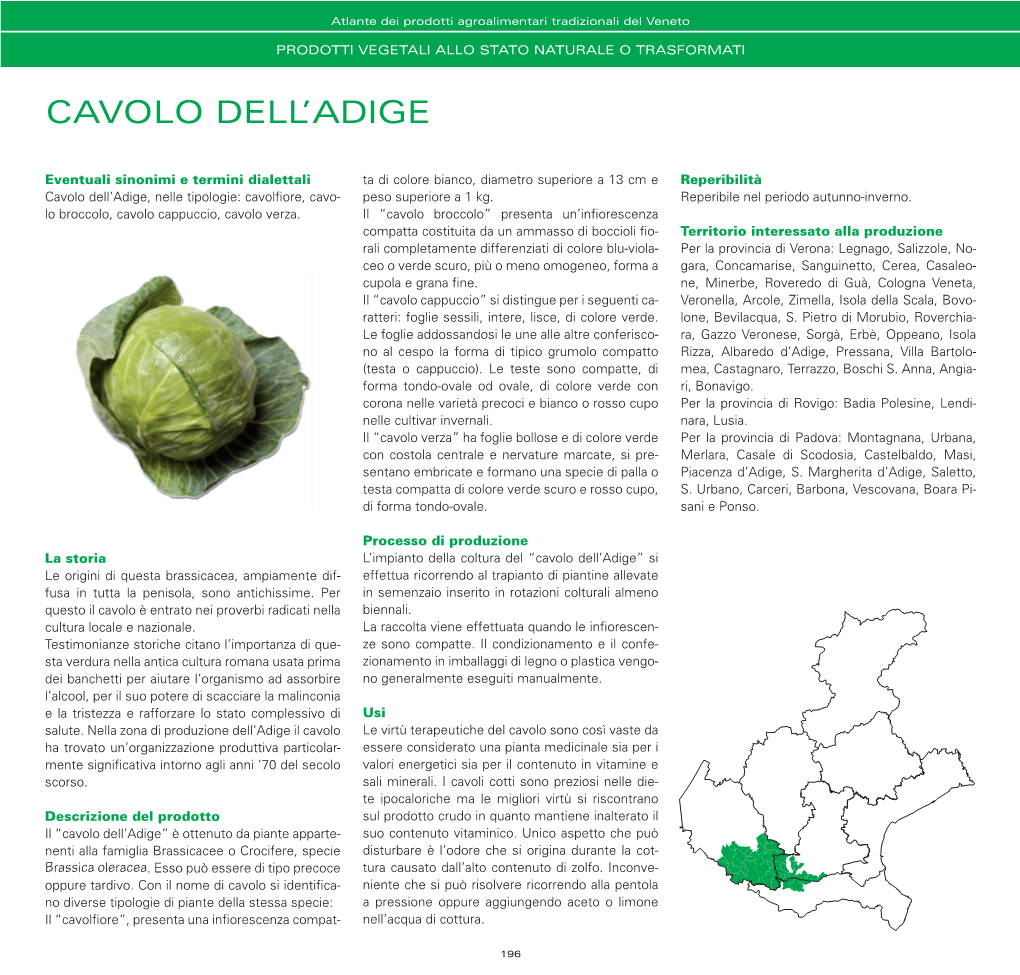 Cavolo Dell`Adige