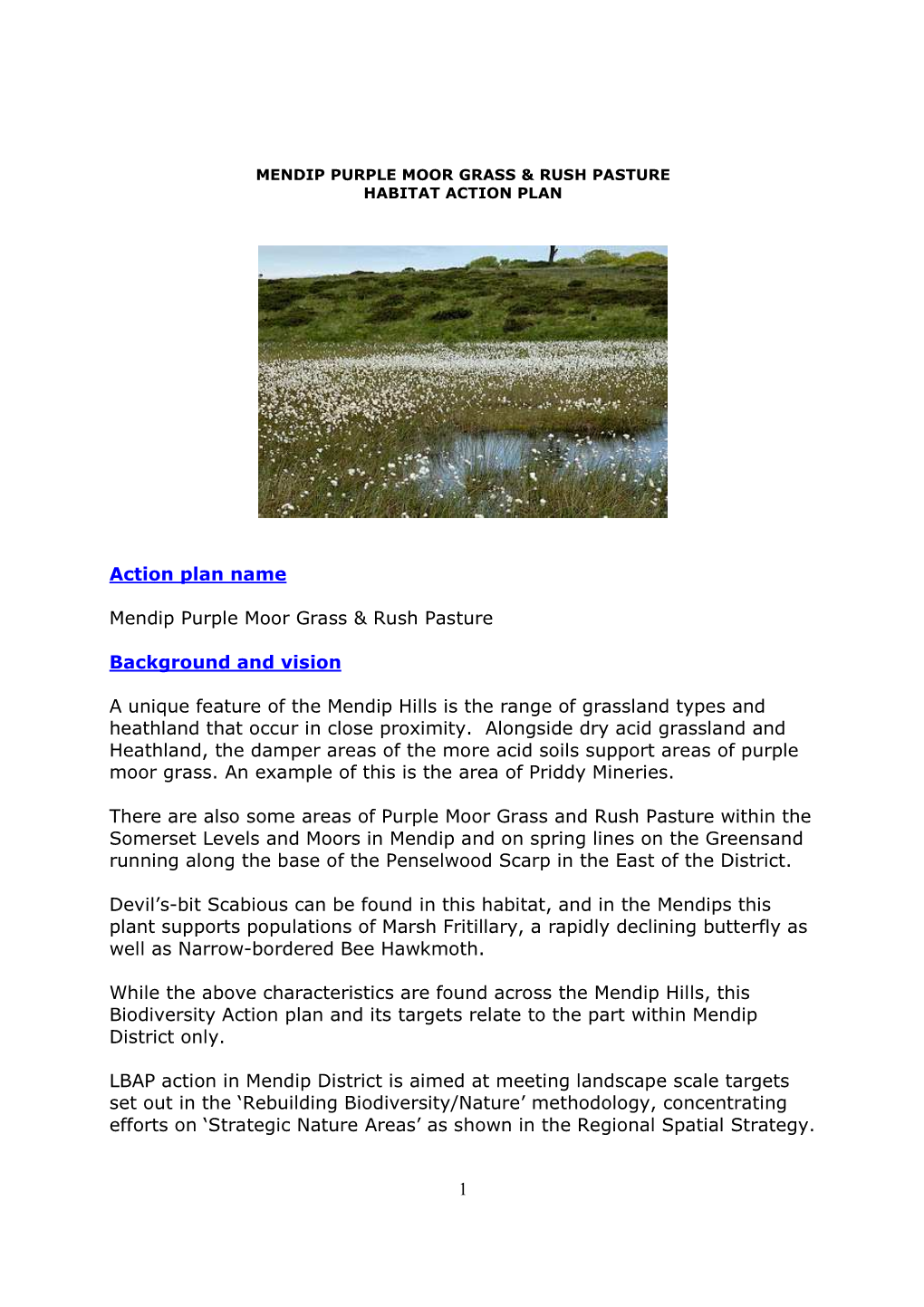 Mendip Purple Moorgrass and Rush Pasture