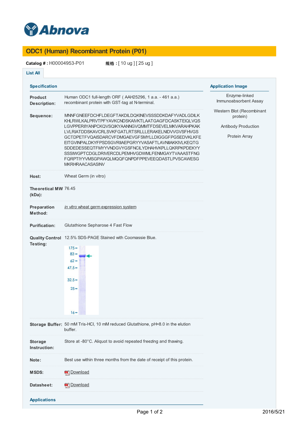 ODC1 (Human) Recombinant Protein (P01)