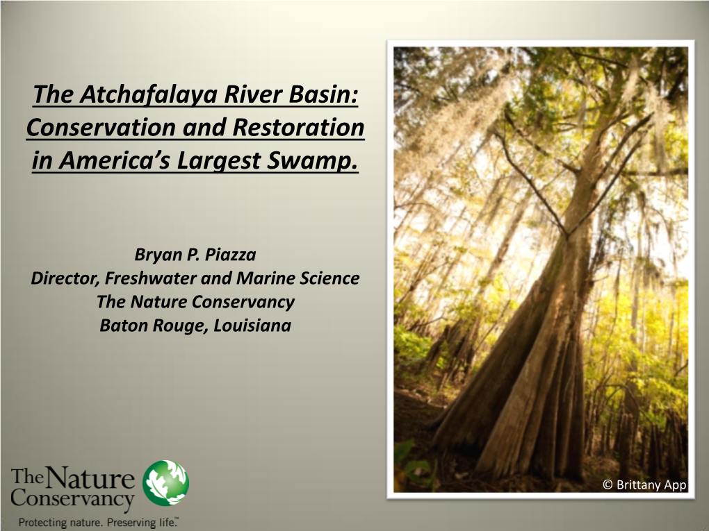 The Atchafalaya River Basin: Conservation and Restoration in America’S Largest Swamp