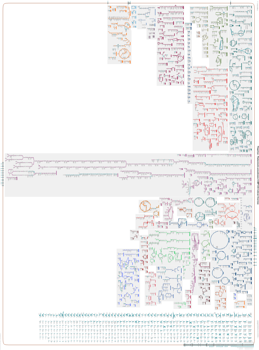 Generated by SRI International Pathway Tools Version 25.0 on Sat