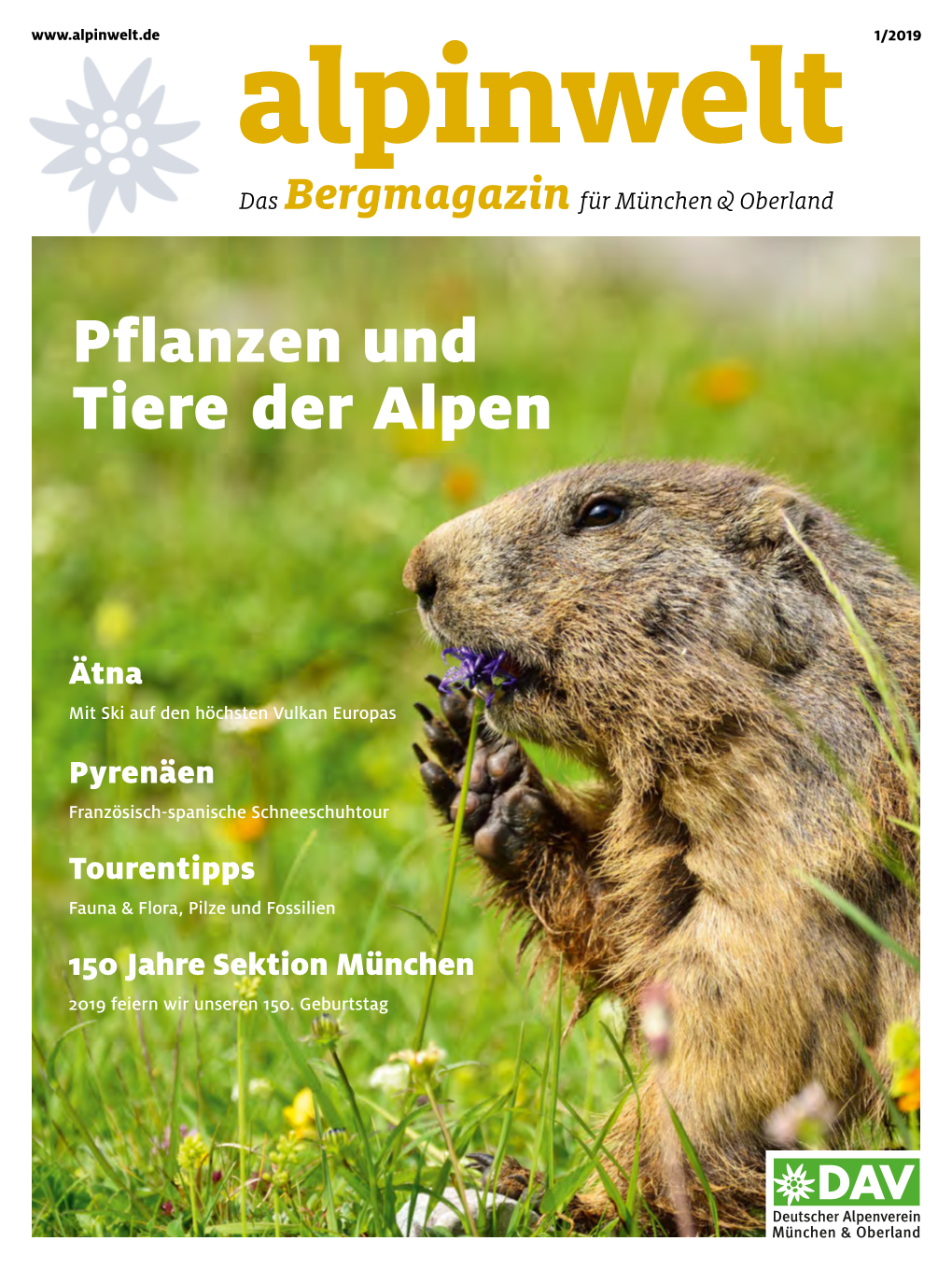 Pflanzen Und Tiere Der Alpen