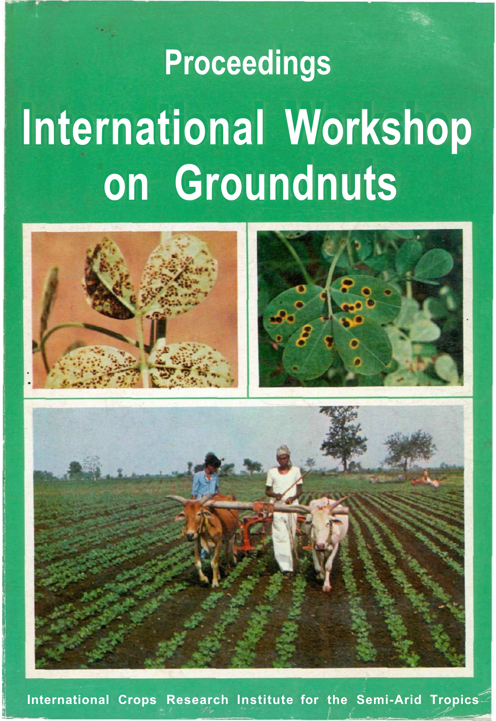 International Workshop on Groundnuts