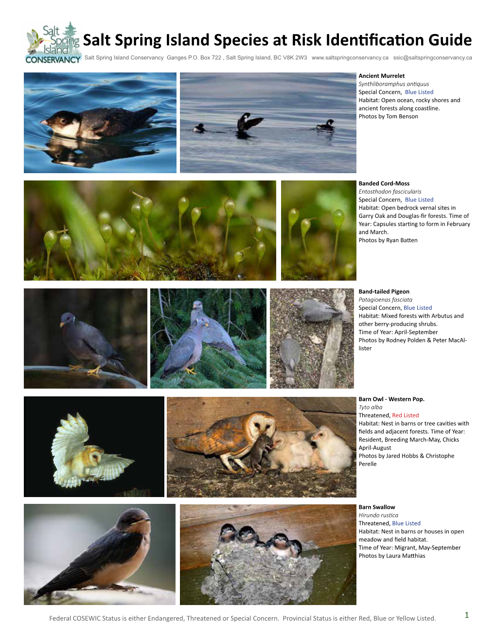 Salt Spring Island Species at Risk Identification Guide Salt Spring Island Conservancy Ganges P.O