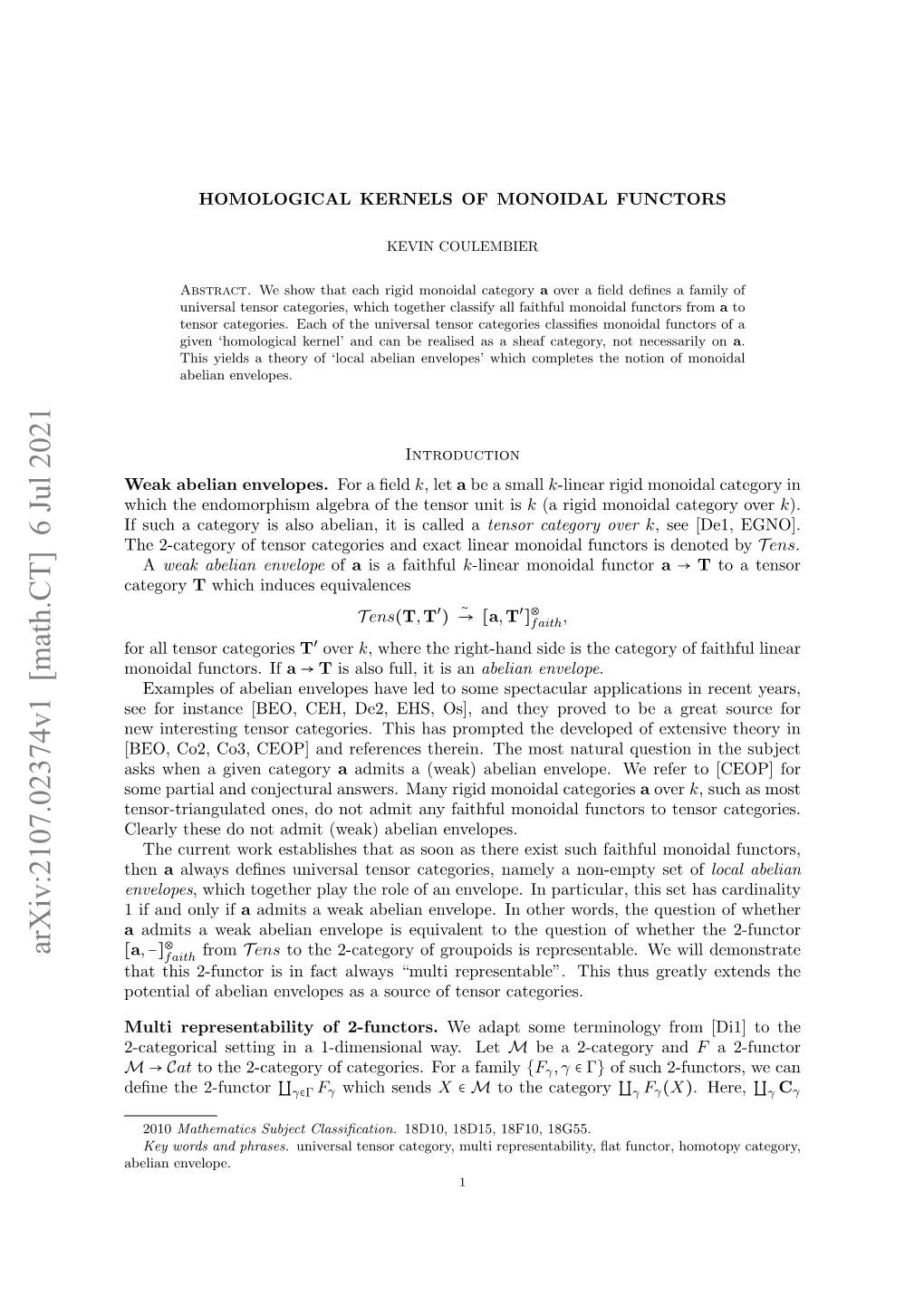 Homological Kernels of Monoidal Functors