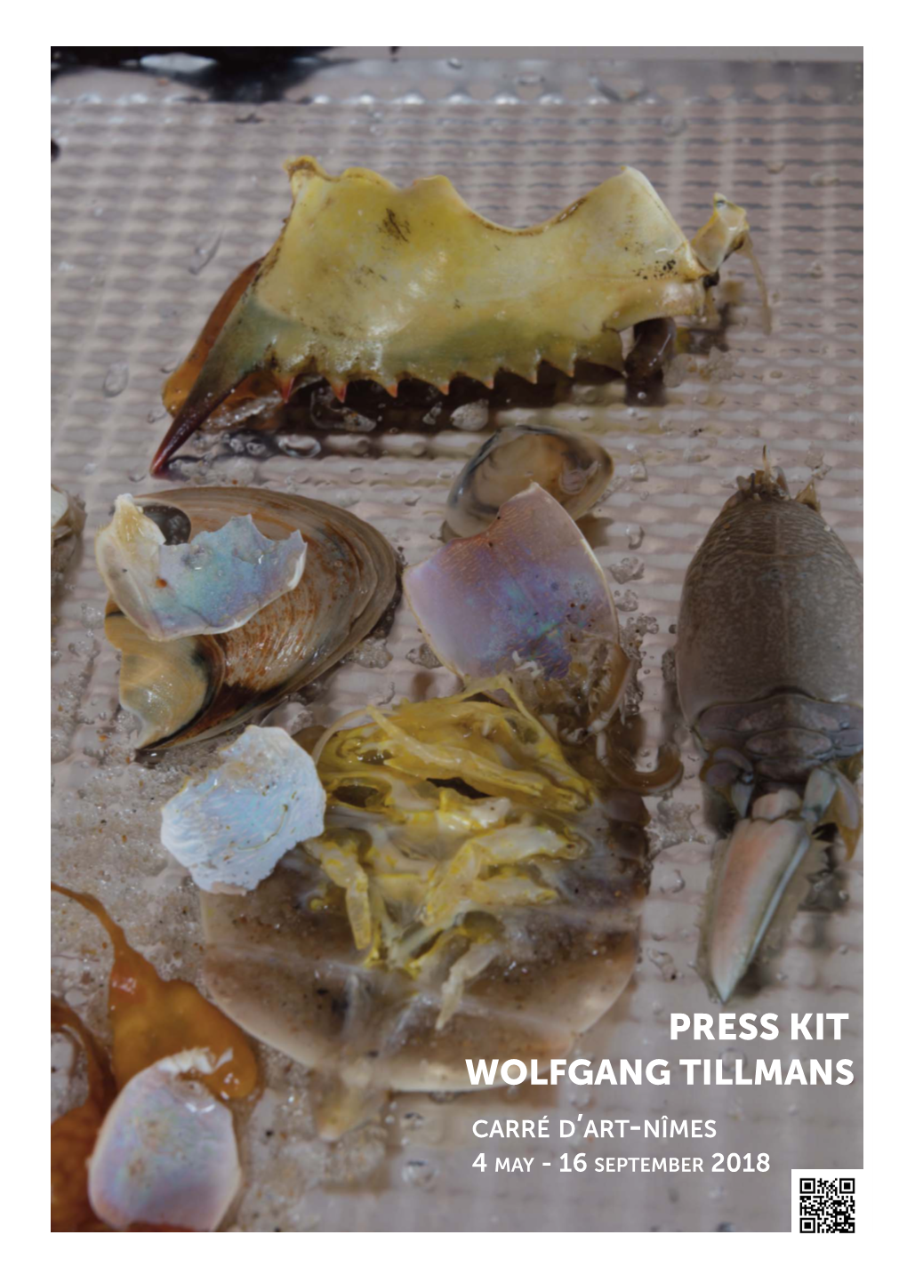 Press Kit Wolfgang Tillmans