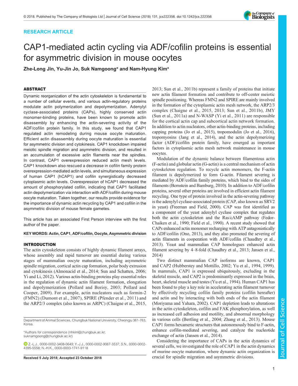 CAP1-Mediated Actin Cycling Via ADF/Cofilin Proteins Is Essential for Asymmetric Division in Mouse Oocytes Zhe-Long Jin, Yu-Jin Jo, Suk Namgoong* and Nam-Hyung Kim*