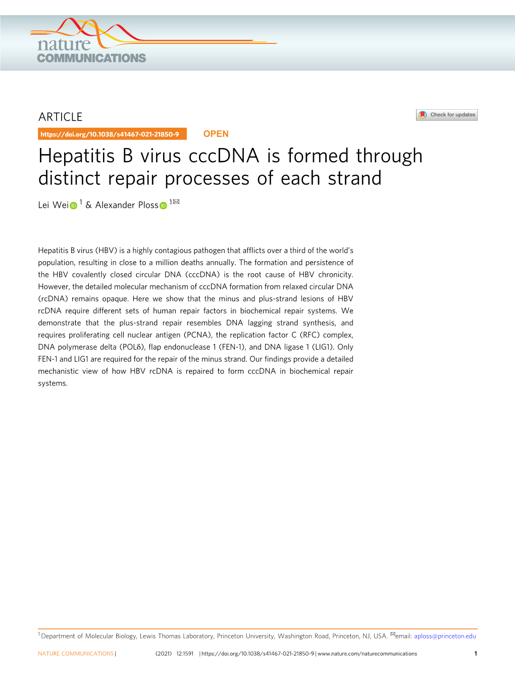 Hepatitis B Virus Cccdna Is Formed Through Distinct Repair Processes of Each Strand ✉ Lei Wei 1 & Alexander Ploss 1