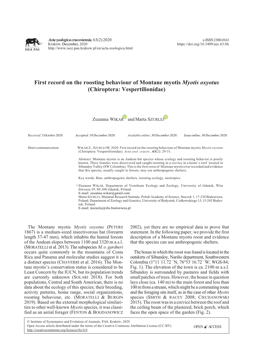 First Record on the Roosting Behaviour of Montane Myotis Myotis Oxyotus (Chiroptera: Vespertilionidae)