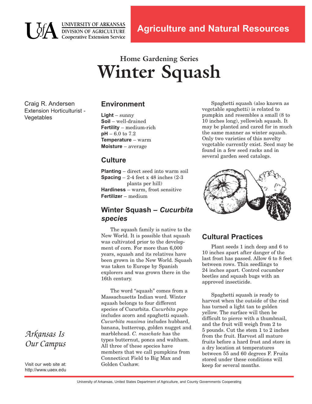 Winter Squash