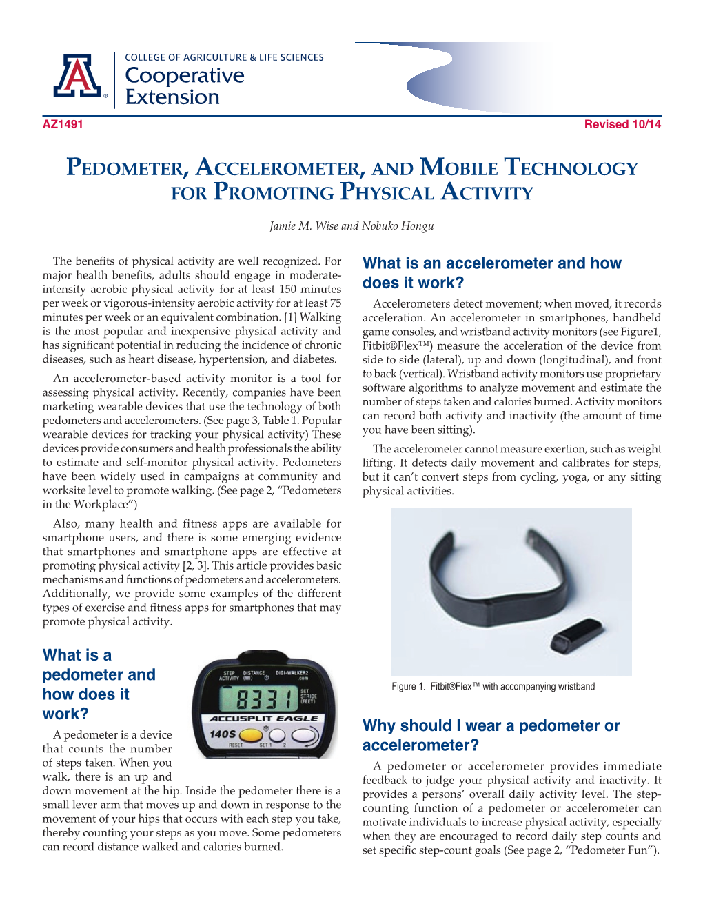 Pedometer, Accelerometer, and Mobile Technology for Promoting Physical Activity