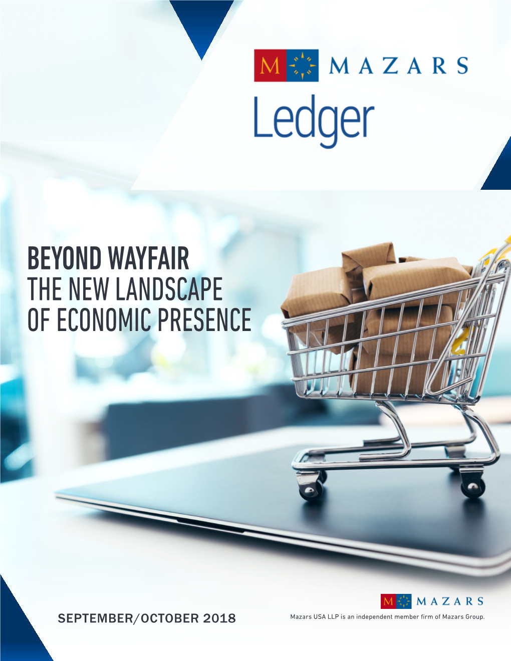 Beyond Wayfair the New Landscape of Economic Presence