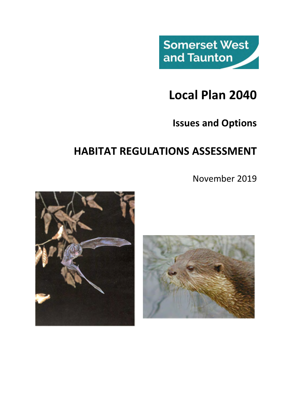 Habitat Regulation Assessment Issues and Options