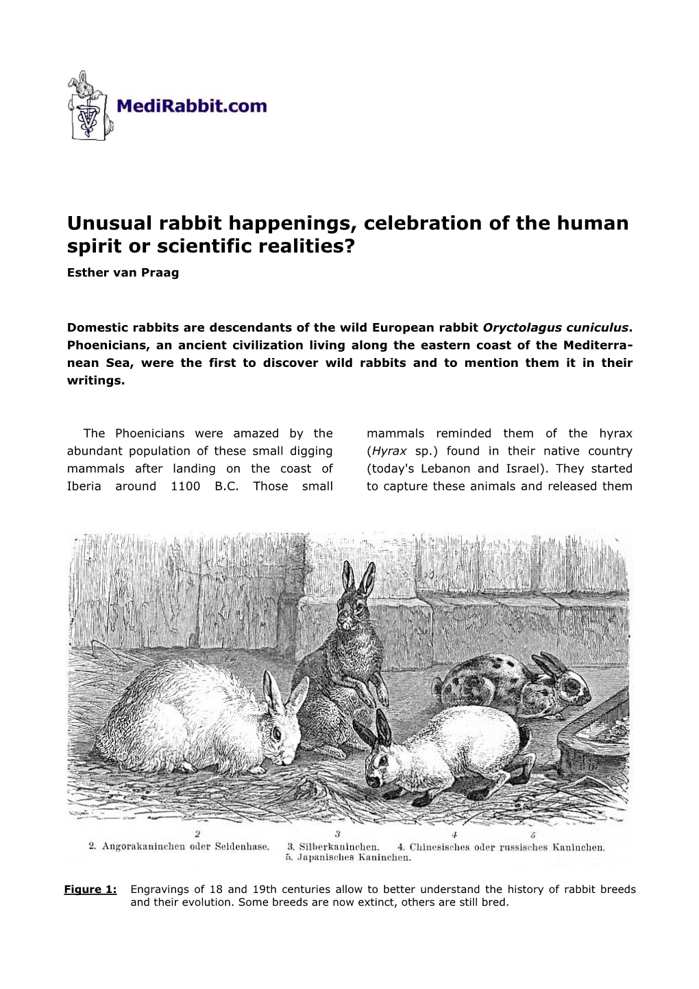 Unusual Rabbit Happenings, Celebration of the Human Spirit Or Scientific Realities? Esther Van Praag