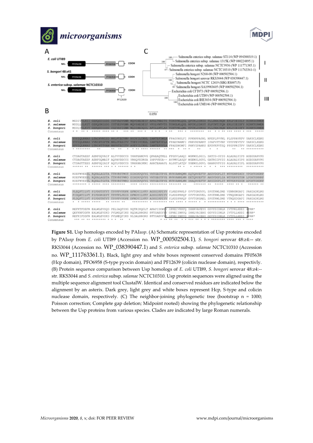 Schematic Representation of Usp Proteins Encoded by Paiusp from E