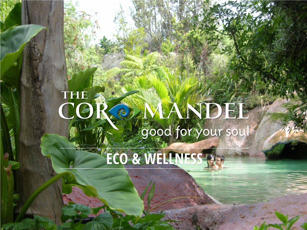 Eco & Wellness