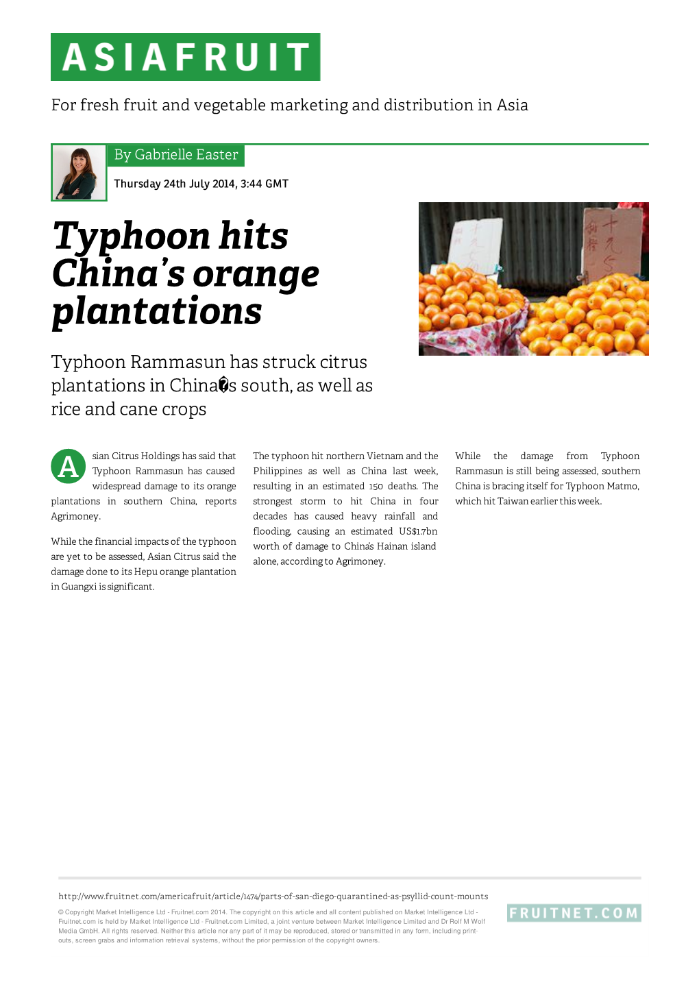 Typhoon Hits China's Orange Plantations