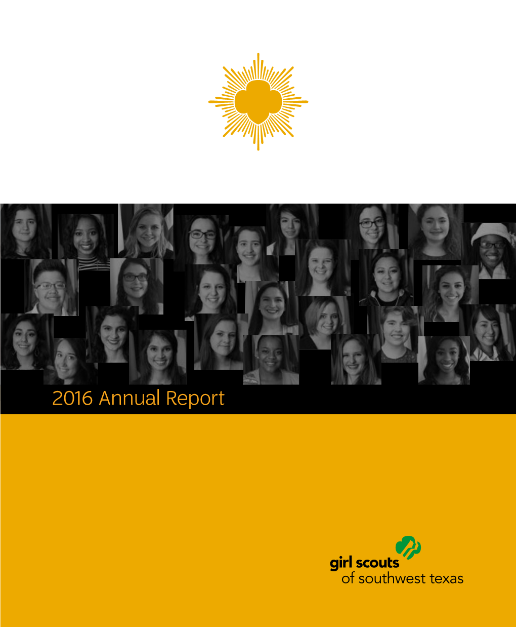 2016 Annual Report from the Board Chair & CEO