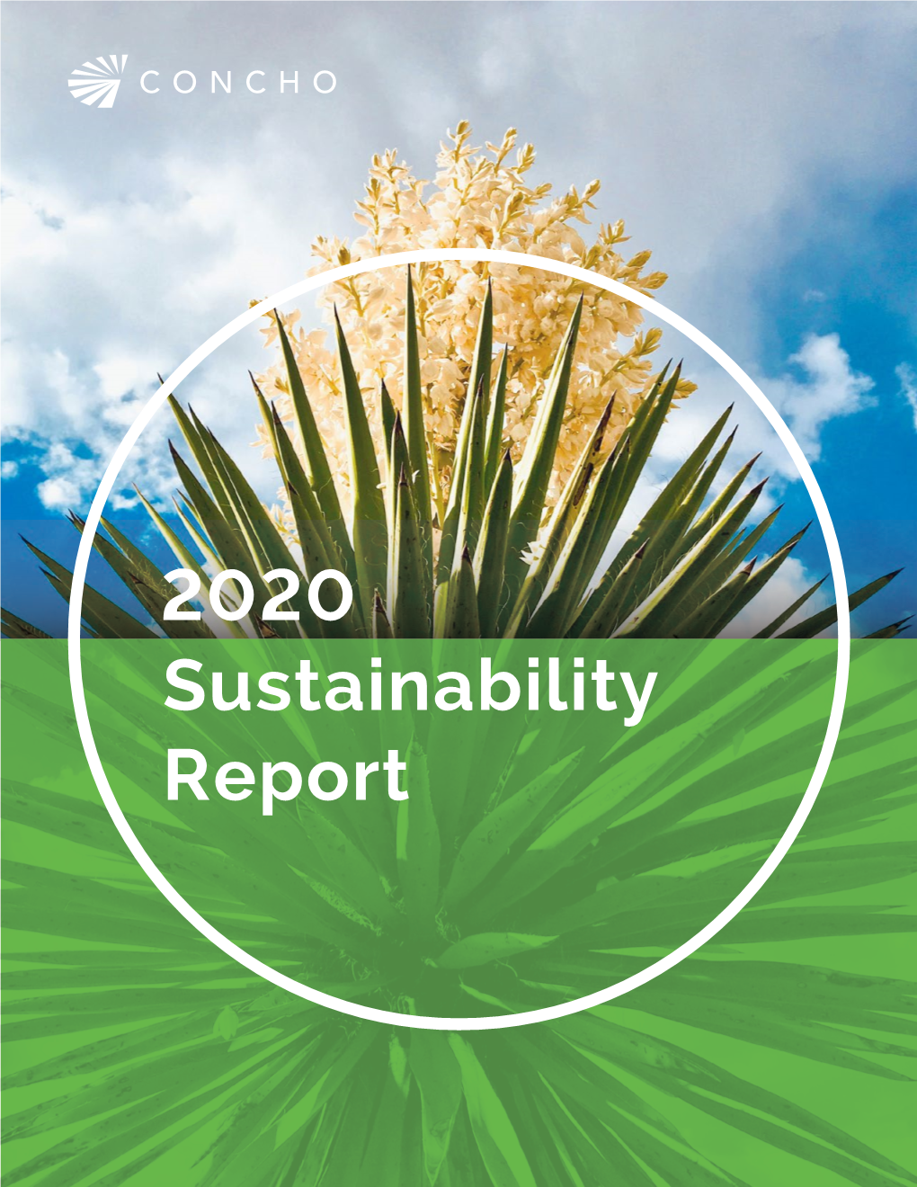 2020 Sustainability Report FOREWORD GOVERNANCE ENVIRONMENTAL SUSTAINABILITY SOCIAL IMPACT APPENDIX
