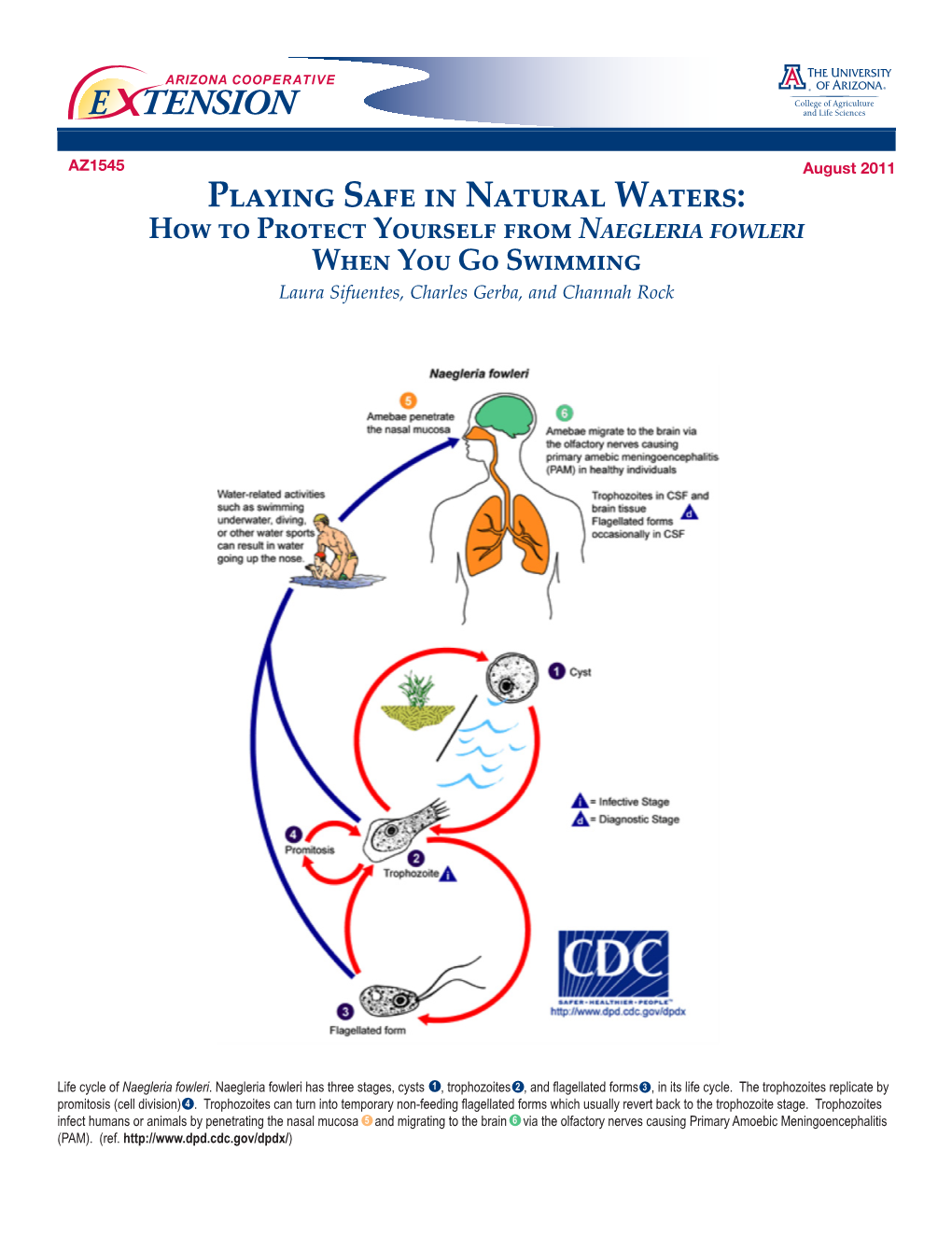 Playing Safe in Natural Waters: How to Protect Yourself from Naegleria Fowleri When You Go Swimming Laura Sifuentes, Charles Gerba, and Channah Rock