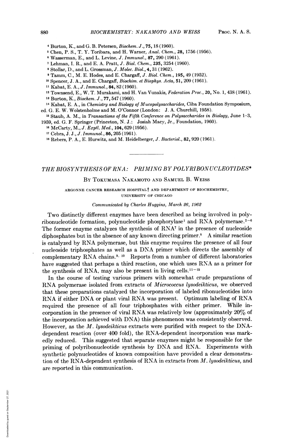 Priming of Polyribonucleotide Synthesis by DNA and RNA