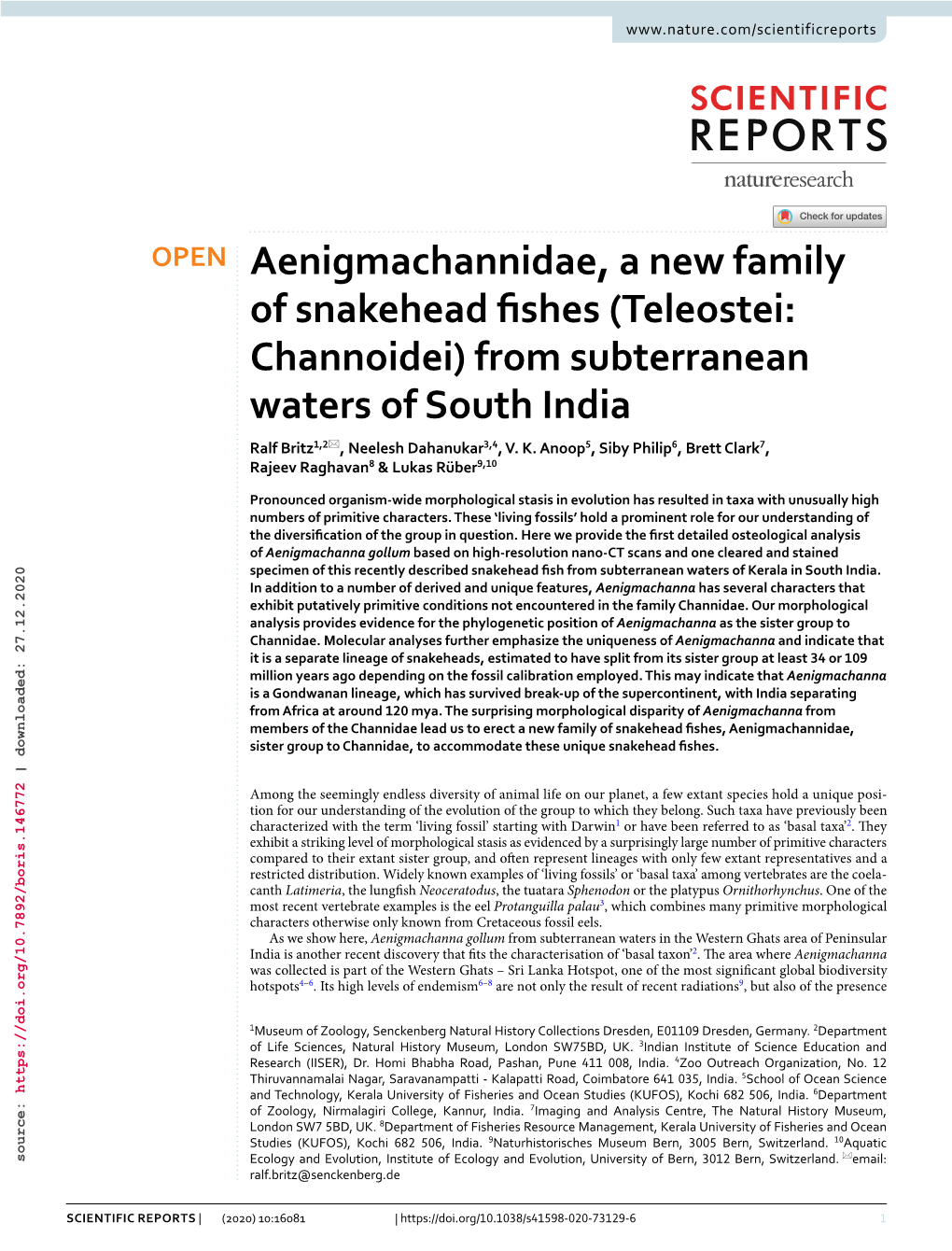 Aenigmachannidae, a New Family of Snakehead Fishes