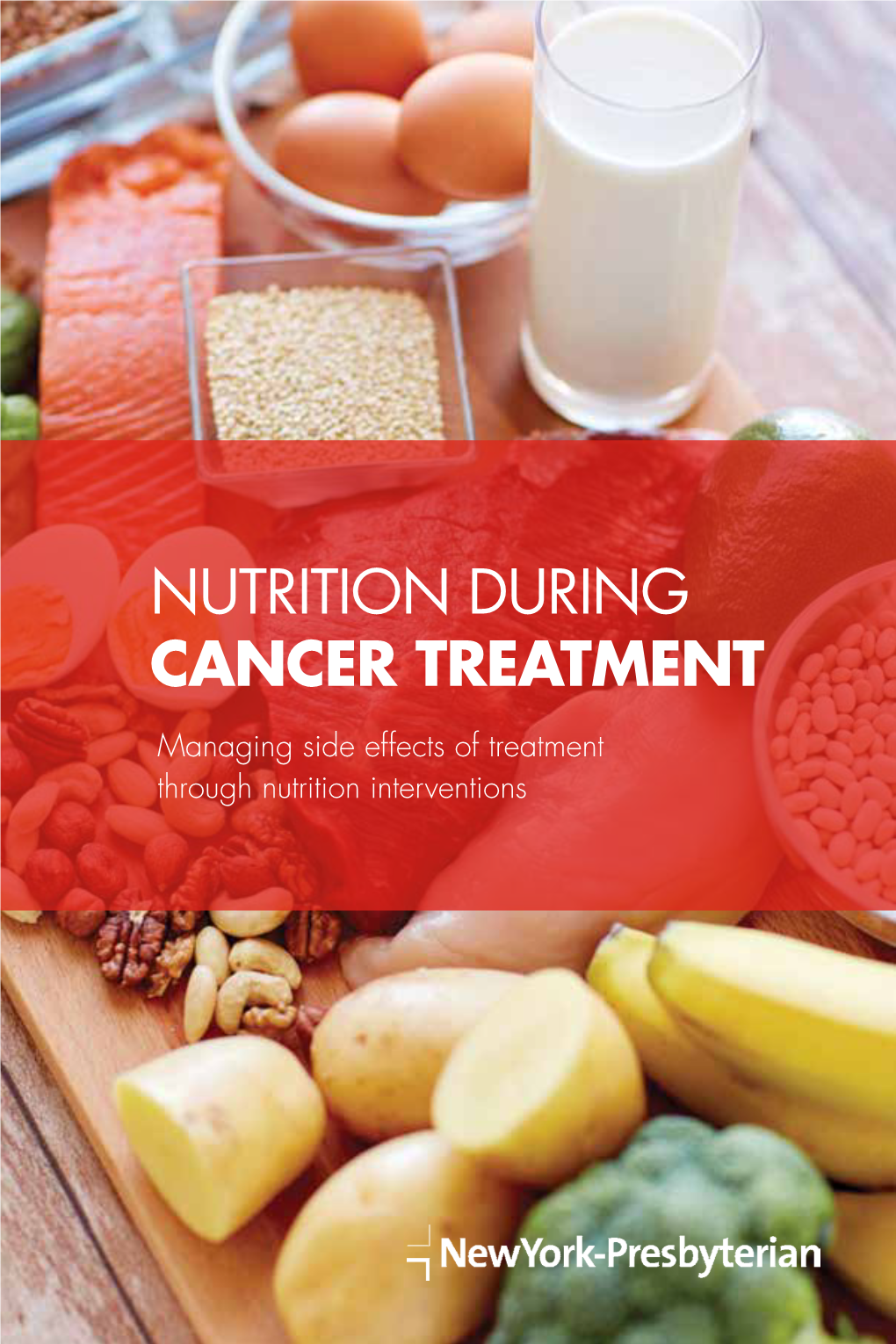 Nutrition During Cancer Treatment