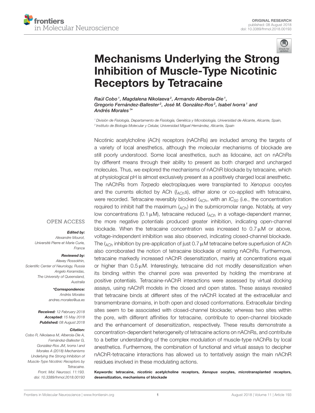 Mechanisms Underlying the Strong Inhibition of Muscle-Type Nicotinic Receptors by Tetracaine