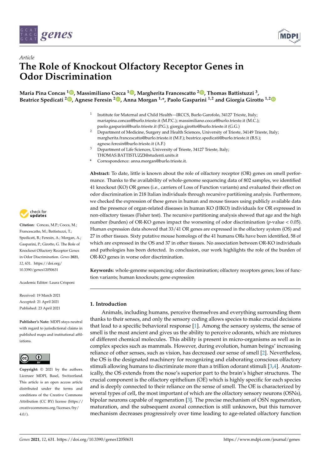 The Role of Knockout Olfactory Receptor Genes in Odor Discrimination