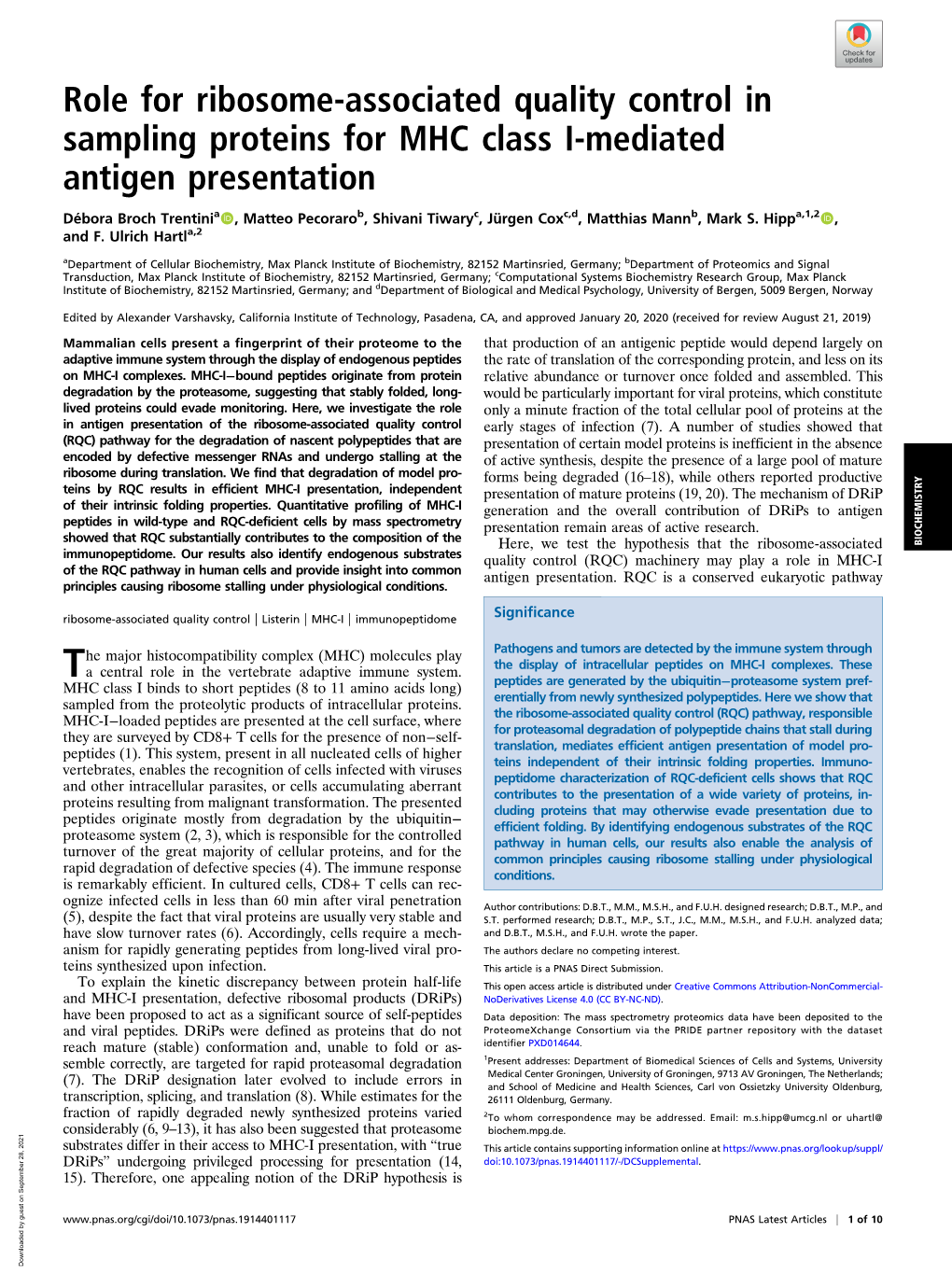 Role for Ribosome-Associated Quality Control in Sampling Proteins for MHC Class I-Mediated Antigen Presentation