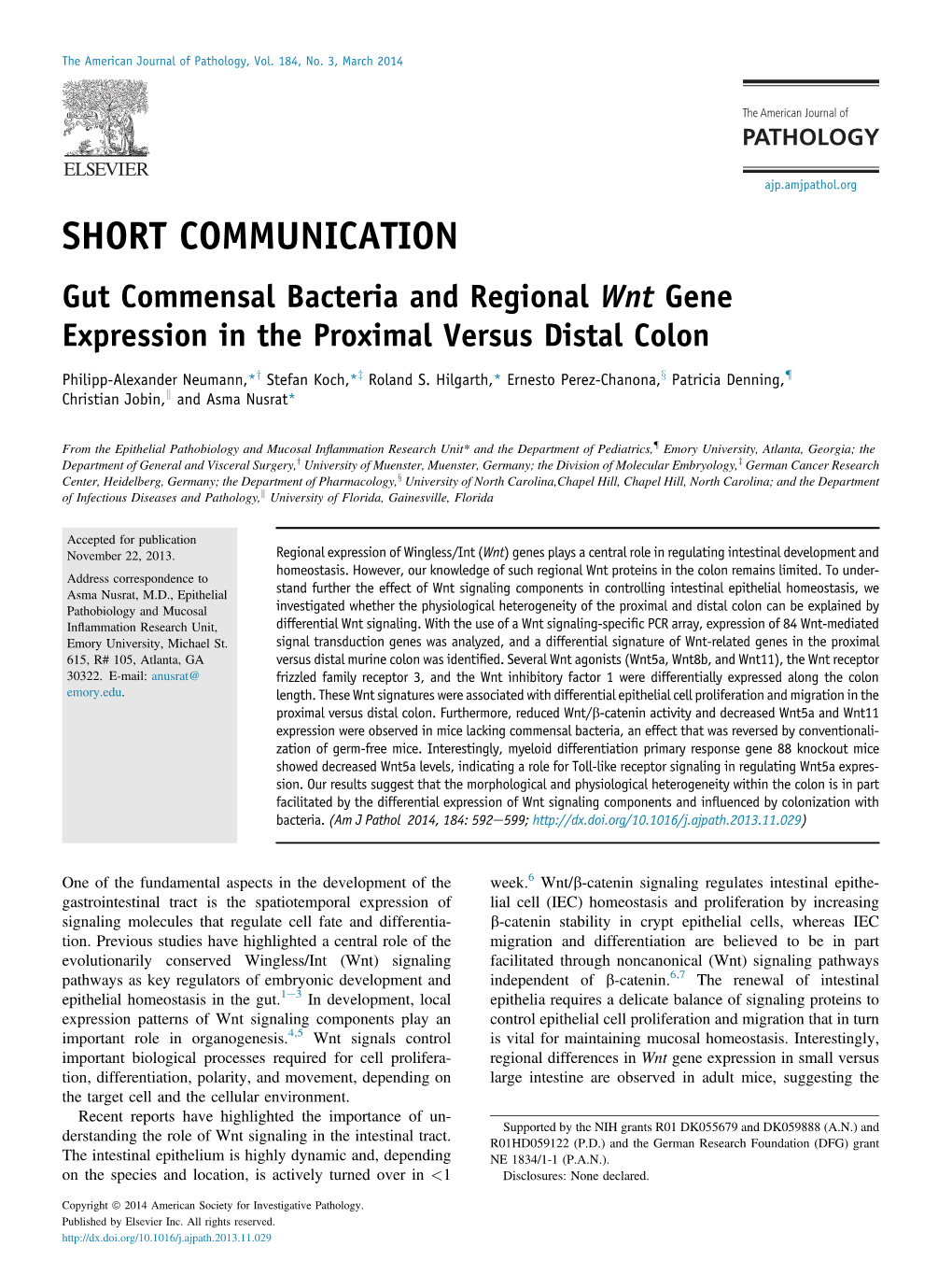 Gut Commensal Bacteria and Regional Wnt Gene Expression in the Proximal Versus Distal Colon