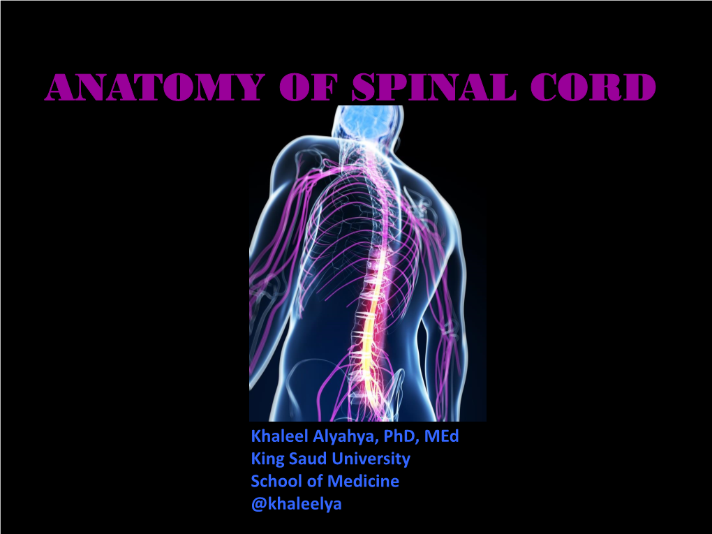 Anatomy of Spinal Cord