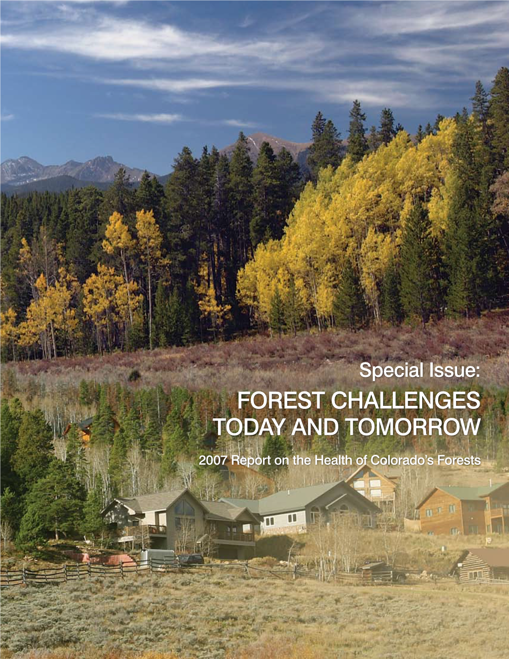 2007 Report on the Health of Colorado's Forests