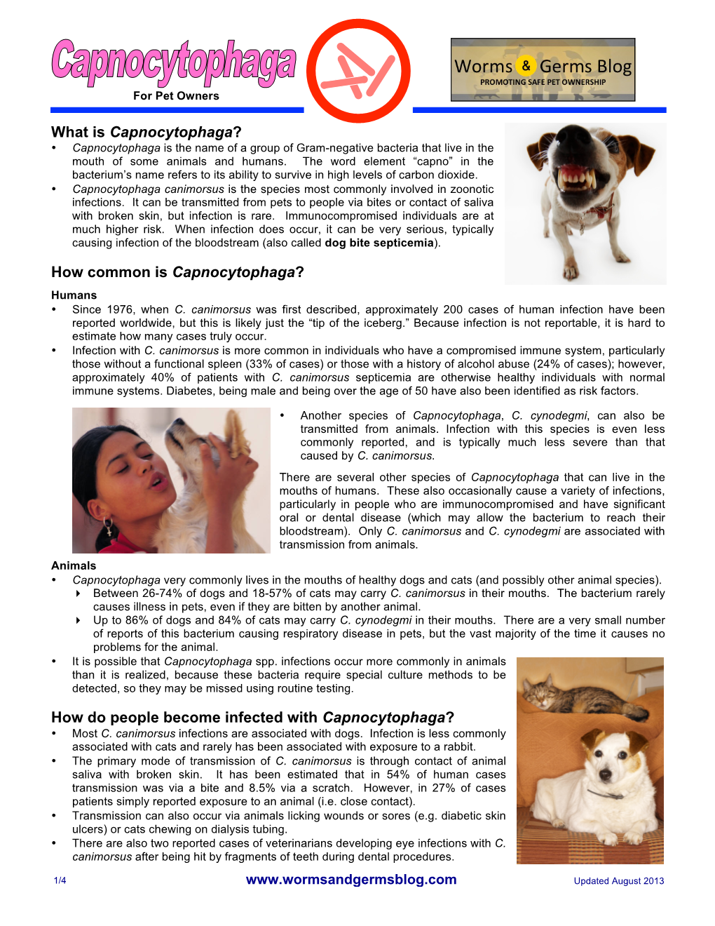 Capnocytophaga Canimorsus Is the Species Most Commonly Involved in Zoonotic Infections